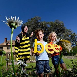 Bee Babies 2019