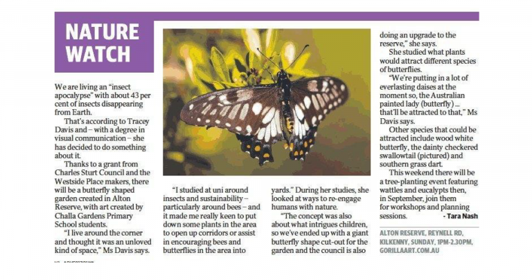 Advertiser Butterfly Garden story 2019