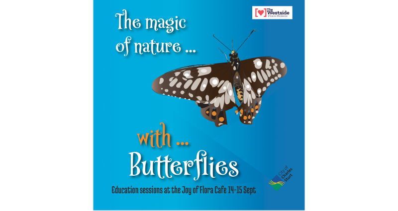 Butterfly Park in Alton Reserve with the CCS 2019